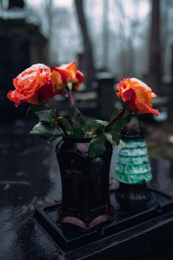 Paying tribute with flowers in a graveyard